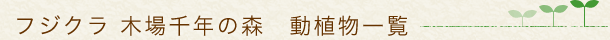 フジクラ 木場千年の森　動植物一覧