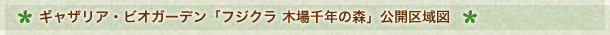 ギャザリアビオガーデン　フジクラ木場千年の森　公開区域図